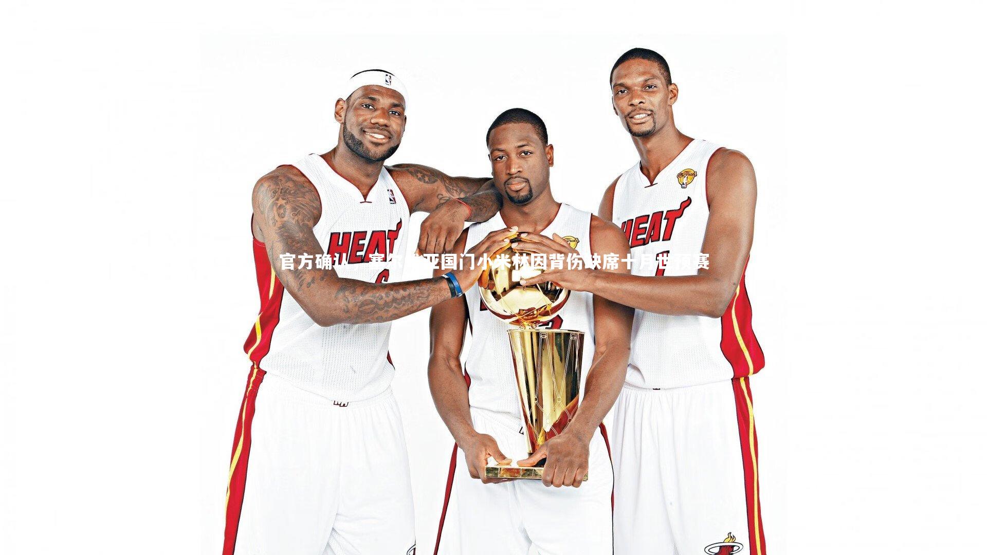 ng体育平台：官方确认，塞尔维亚国门小米林因背伤缺席十月世预赛